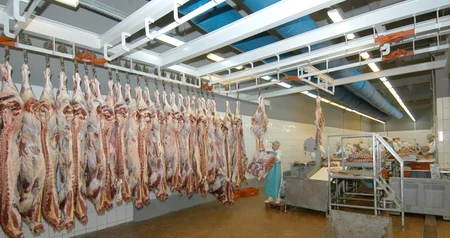 Дезинсекция на мясокомбинате в Ивантеевке, цены на услуги
