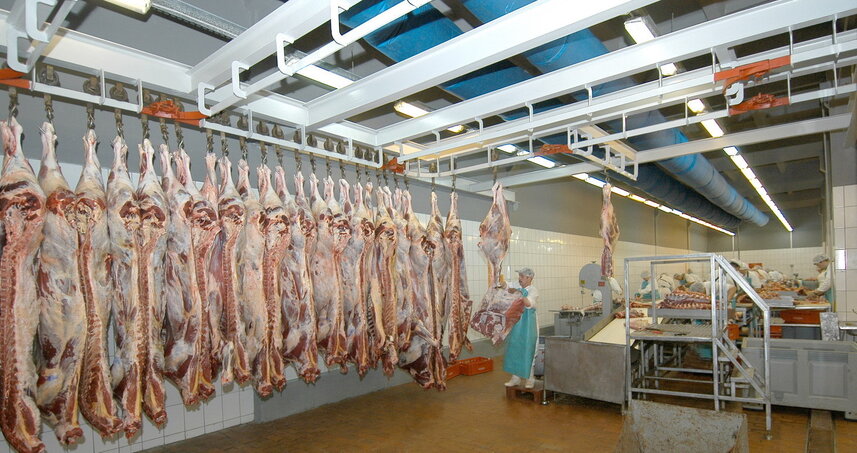 Дезинсекция на мясокомбинате в Ивантеевке, цены на услуги